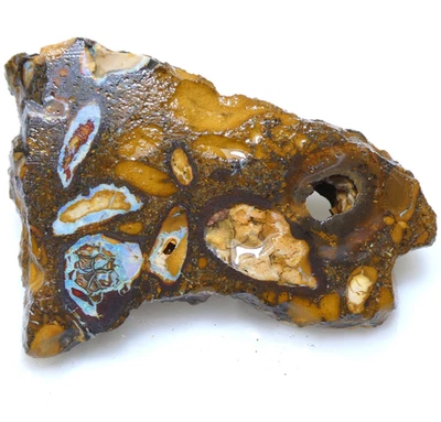 Espécimen áspero natural australiano 78,6 quilates de ópalo de roca de nuez Yowah Foto 1 de 4