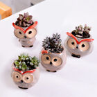 Mini Owl Shaped Pot Ceramic Flower Holde Cactus Flowers Succulents Planter Pot