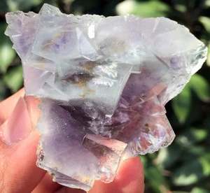 67g Amazing!!! Natural Fantastic  Cubic Fluorite Quartz Crystal ic5001 - Picture 1 of 11