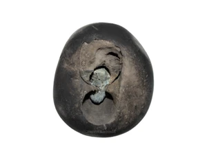 Adbhut MahaLaxmi Vaikunth Shaligram Shila - Picture 1 of 3