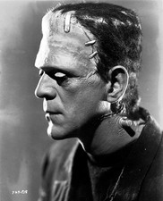 The Bride of Frankenstein 14 x 11" Photo Print 