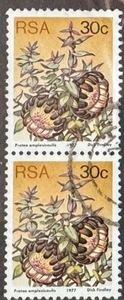 South Africa 1977, Protea amplexicaulis, South Africa 1977,, 30c pair, vfu - Picture 1 of 1