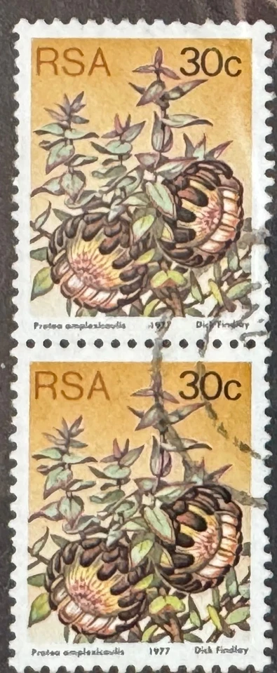 South Africa 1977,  Protea amplexicaulis, South Africa 1977,, 30c pair,    vfu - Image 1 of 1