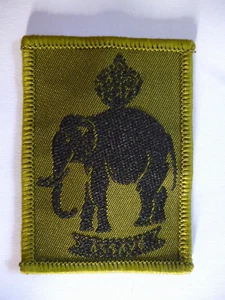 10 "ASSAYE"  BATTERY ROYAL ARTILLERY TACTICAL RECOGNITION FLASH. - Foto 1 di 1
