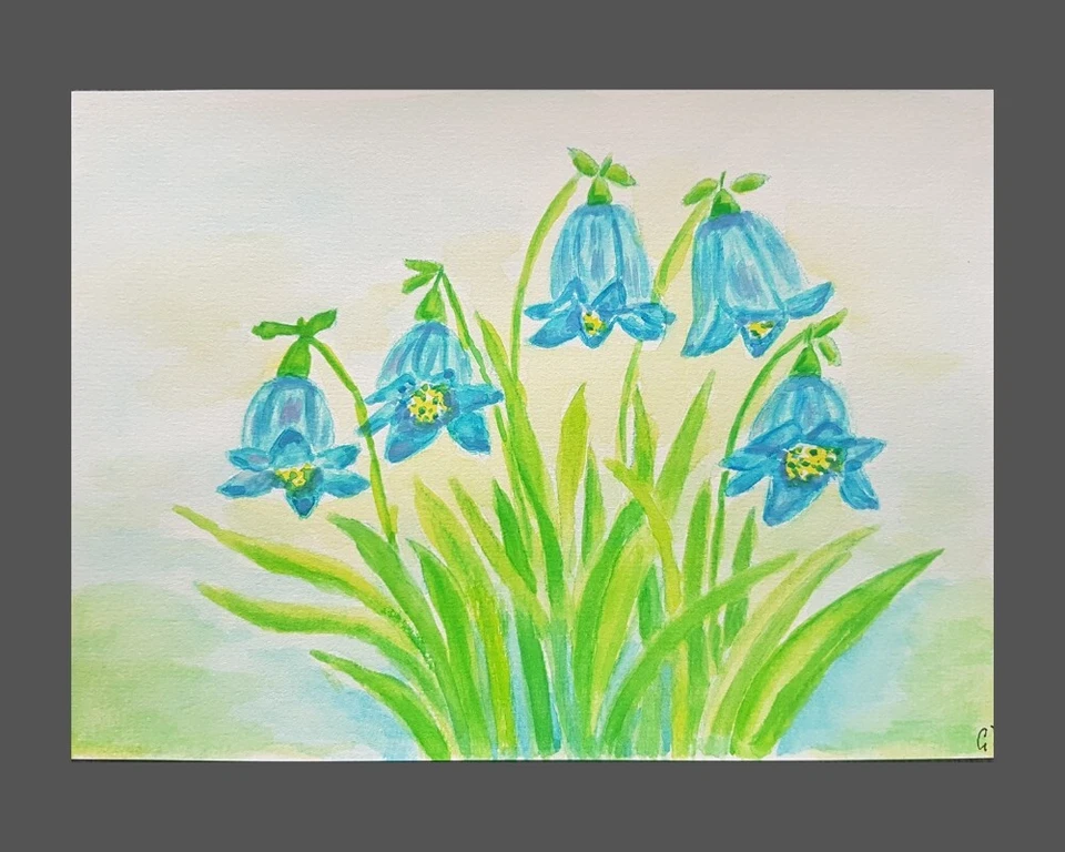 Aquarell " Glockenblumen" 14,8 x 21 cm handgemalt  - Bild 1 von 1