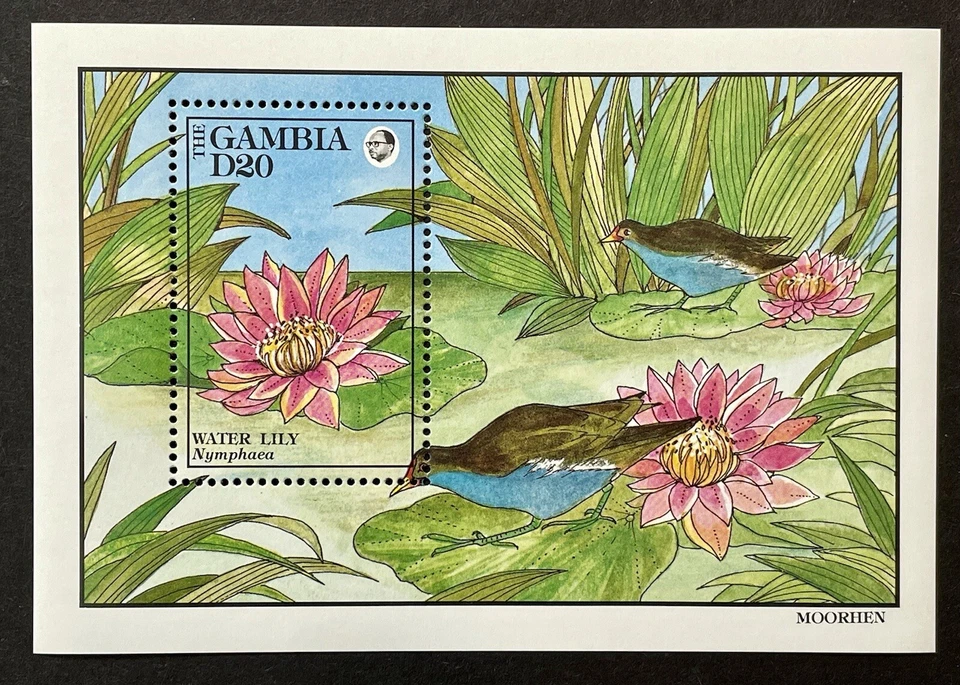 GAMBIA FLOWERS & BIRDS STAMPS SS 1992 MNH WATER LILY FLOWER MOORHEN BIRD PLANT - Image 1 of 1