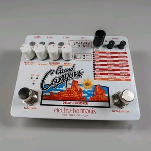 Pedal de guitarra Electro-Harmonix Grand Canyon Delay & Looper con fuente de alimentación - Imagen 1 de 15