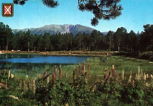 CARTE POSTALE - SUPER BOLQUERE - PYRENEES-ORIENTALES - 66 - LAC TICOU ET LUPINS - Imagen 1 de 2