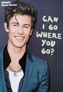 SHAWN MENDES - Star Card - Foto Karte Mini Poster Clippings Fan Sammlung NEU - Imagen 1 de 1