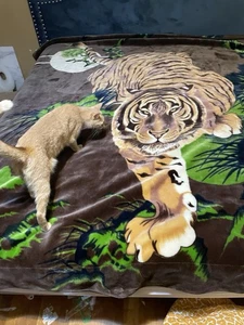  Solaron Blanket throw Thick Ultra Fine Polyester Mink Plush Tiger Heavy Weight  - Picture 1 of 5