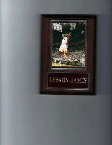 LEBRON JAMES PLAQUE MIAMI HEAT BASKETBALL NBA DUNK Cover