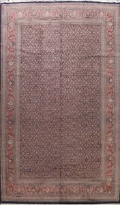 Geometric Vegetable Dye Herati Oriental Hand-knotted Palace Size Area Rug 12x18