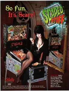 Póster volador máquina pinball Bally rígido asustado 1996 Mistress of the Dark - Imagen 1 de 2