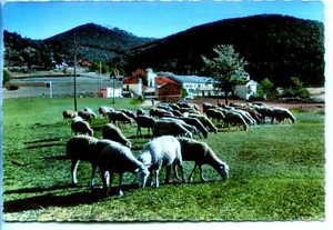 CP 06 - Alpes-Maritimes - La Doire de Séranon - Vue générale - Picture 1 of 2