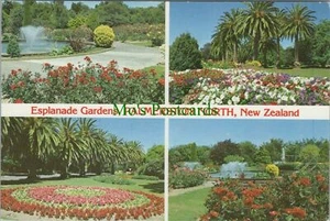 New Zealand Postcard - Esplanade Gardens, Palmerston North RRR1185 - Picture 1 of 2