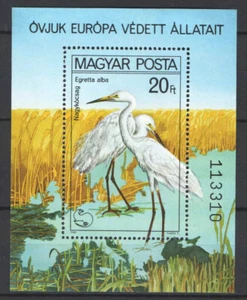 Hungary 1980. Waterbirds nice sheet MNH (**) Mi.: Block 146. / 5 EUR - Picture 1 of 1
