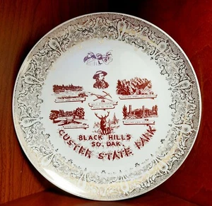 Black Hills Custer State Park Vtg Travel Souvenir Plate 10" South Dakota - Picture 1 of 8