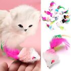 Feather Tail Catnip Cat Mouse Toys Mice Rattle Set Kittens Interactive Cat Toy