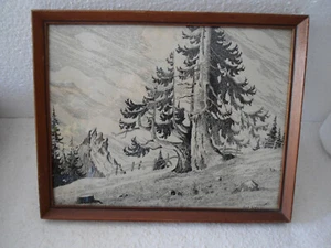 Bleistiftzeichnung Mart. Rapp 1941 alter Baum am Hündle 32,5 x 26 Landschaft Nat - Bild 1 von 5