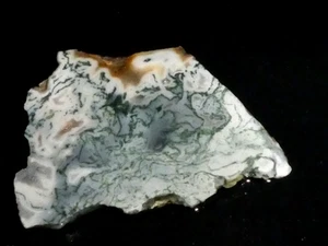 Tree  Agate --2 7/8" x 2 1/8" --rough, cabbing--display Geology - Picture 1 of 3