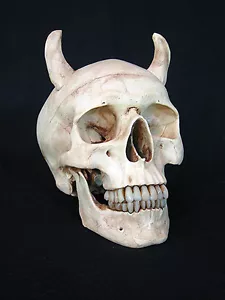 Aged Devil Skull w/ 2" Horns, Halloween Prop, Human Skulls/Skeleton, NEW - Picture 1 of 5