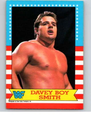 1987 O-Pee-Chee WWF #19 Davey Boy Smith  V69450 - Image 1 of 2