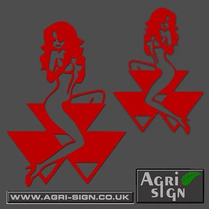 Calcomanía de tractor Massey Ferguson pegatina con logotipo divertida para niña x 2 - Imagen 1 de 2