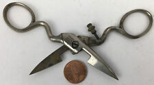 Antique Hilger & Sons Button Hole Scissors Probably Germany Made