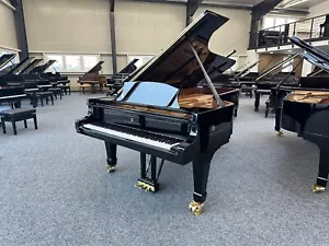 Steinway & Sons Flügel, Mod. D-274, generalüberholt, Baujahr 1981, 5 J. Garantie - Bild 1 von 18