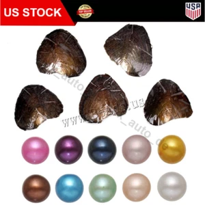 10Pcs Natural Akoya Pearl Oysters Real Pearl Freshwater Pearl 7-8mm Gift Party - Picture 1 of 6
