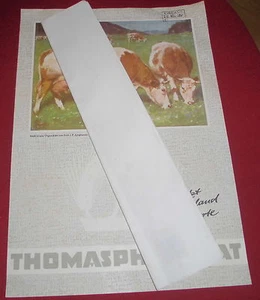 prospekt blatt alt thomas phosphat landwirtschaft  dünger reklame werbung 1952 - Bild 1 von 2