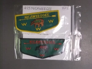 Boy Scout OA 493 Nicaweeggee lot 7012OO - Picture 1 of 1