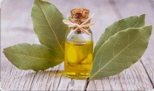 Organic Whole Bay Leaves 30 Pack, Premium and Fresh | Culinary & Infusing Herb - Picture 1 of 6