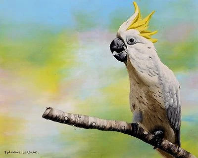 SYLVAINE LEROUGE: HERMOSO LORO - LE BEAU PARLEUR - ARTISTA LISTADO - FRANCÉS Foto 1 de 4