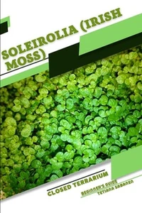 Soleirolia (Irish Moss): Closed terrarium, Beginner's Guide by Tetiana Sabanen P - Picture 1 of 1