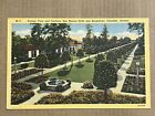 Postcard Chandler, Az San Marcos Hotel Orange Grove Vista & Gardens Vintage