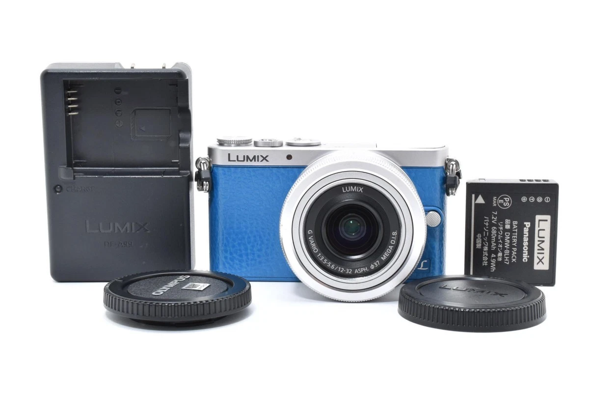 Panasonic LUMIX GM1 1-4.9x Digital Zoom Cameras for Sale | Shop