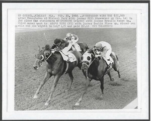 1966 - BUCKPASSER winning The Everglades - Close Up - 10" x 8" - Picture 1 of 1