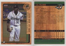 2017 Choice Down East Wood Ducks CD Pelham #21