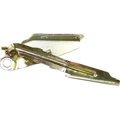 Bisagra de capó para Ford Focus 2000-2011 lado del pasajero | FO1236120 | 4S4Z16796AA Foto 1 de 4