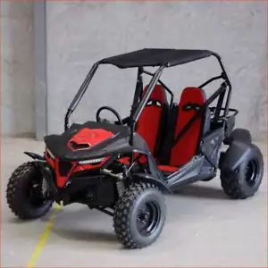 Helmetkarts - ZXK5 Off Road Dune Buggy Family 2 Seater Utility Go kart RED FORZA - Picture 1 of 13