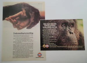 Jane Goodall "Unter den wilden Schimpansen" PBS 1984 2 Anzeigen Naturgeschichte ~8x11" - Bild 1 von 3