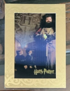 Harry Potter World 3D Lenticular GOLD CASE TOPPER - Ct1 Hagrid with Harry & Ron - Bild 1 von 2