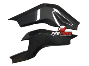 06-11 CARBON SCHWINGEARMABDECKUNGEN SCHUTZ APRILIA TUONO 1000 PRO FIBER - Bild 1 von 4
