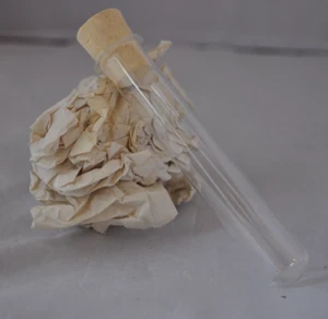 Reagenzglas mit Korken Reagenzgläser Alchemie Hochzeit LARP Heiltrank Trank - Bild 1 von 2