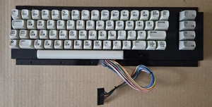 Commodore 64 KEYBOARD cleaned and refurbished fully restored, springs replaced_1 - Picture 1 of 9
