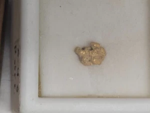 Schönes Goldpräparat - Bild 1 von 2