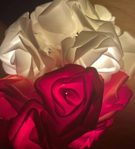 fairy lights rose flowers - Picture 1 of 8
