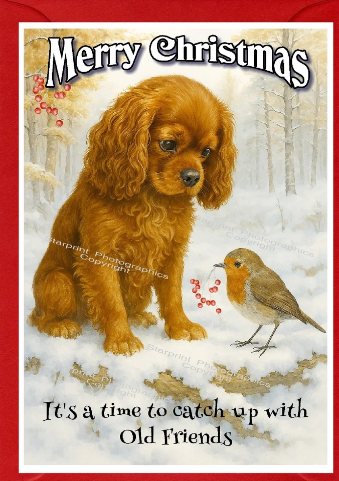 Cavalier King Charles Spaniel (Ruby) Dog (4"x 6") Christmas Card (Blank inside)