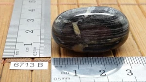 JASPE FEUILLE D'ARGENT pierre roulee TOP mineraux lithotherapie reiki collection - Picture 1 of 3